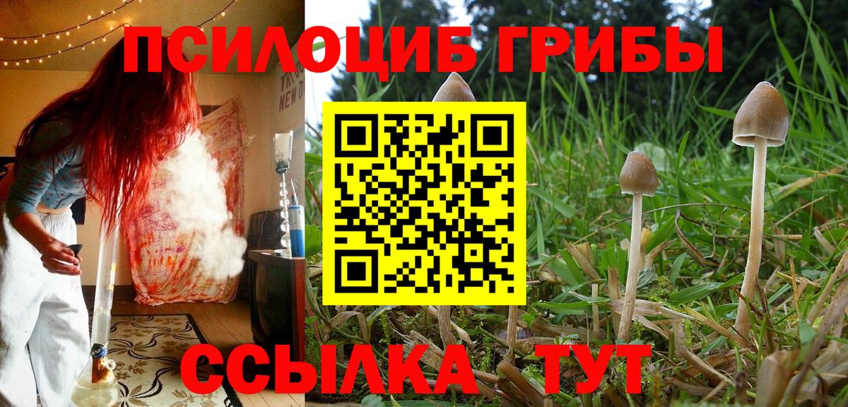 Галлюциногенные грибы мухоморы Нижний Тагил