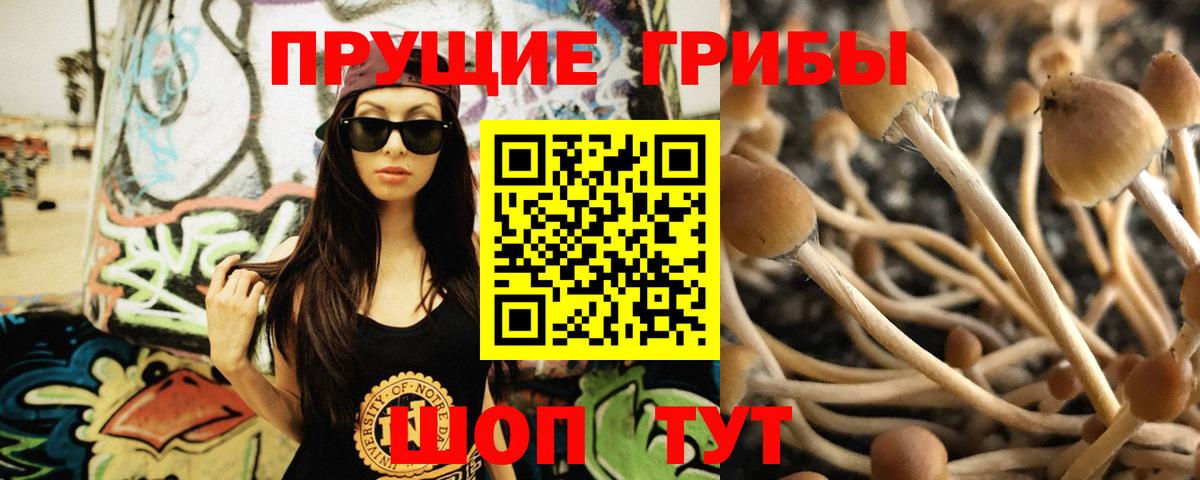 Нижний Тагил  Псилоцибиновые грибы Cubensis  Вход с VPN 